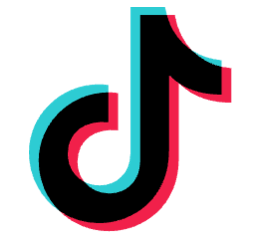 TikTok Ads icoon