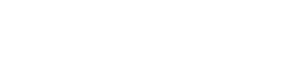 Werksta logo wit